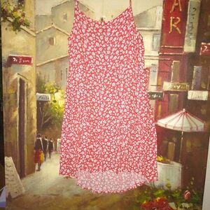 American Eagle Dress